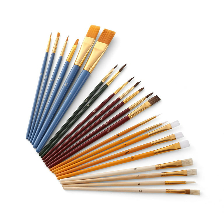 25pcs Paint Brushes Set Paintbrushes Starter Kit Includes 11Taklon/ 5 Bristle/ 7 Horse Hair Brushes and 2 Sponge Brushes for Acrylic Oil Watercolor