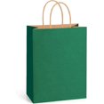 25Pcs Paper Bags with Handles. Medium Gift Bags Party Favor Bags Goodie