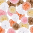 thumbnail image 1 of 25Pcs Paper Flowers Decorations Tissue Poms Blooms for Cinco De Mayo Wall Decorations, Wedding Backdrop, Fiesta Party, Christmas Decor - Pink mix, 1 of 8