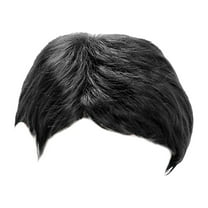 25cm 10inch Wigs Man Slanting Handsome Short Straight Hair Fashion Fiber Full Head Cover for Men and Women