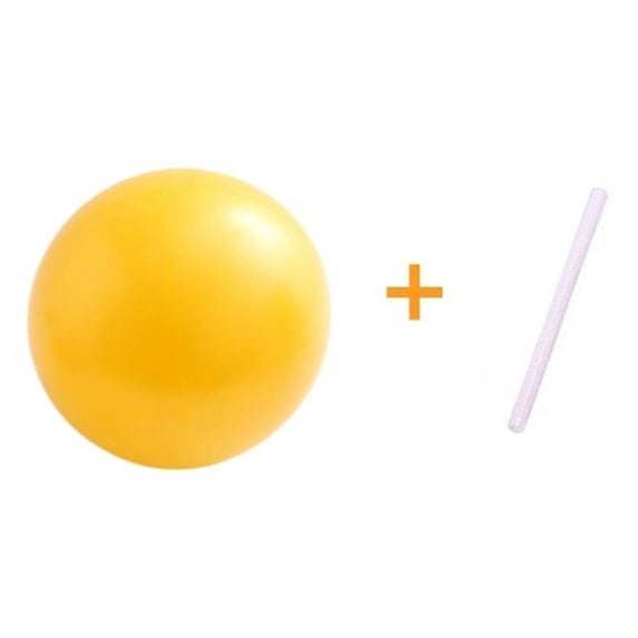 25cm Mini Yoga Ball for Pilates, Balance Training & Core Workout | Burst-Resistant PVC Fitness Ball (9.85 Inch)