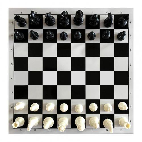 25cm Portable Chess Games Vintage Chess Set Carved Foldable PS Easy