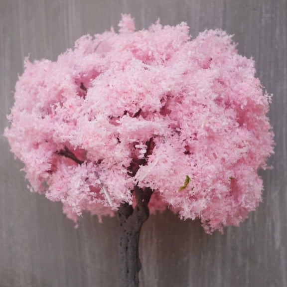 25cm Sakura Tree Model Japanese Style DIY Diorama Scene Landscape Display Prop for Architecture Model Craft Decoration