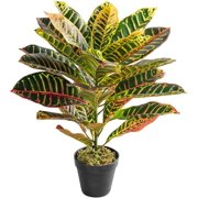 HANGTANWAN 25inch Artificial Ficus Tree in Pot with Moss, Artificial Ficus Tree for Home Office Living Room Bathroom Corner Decor (Croton)