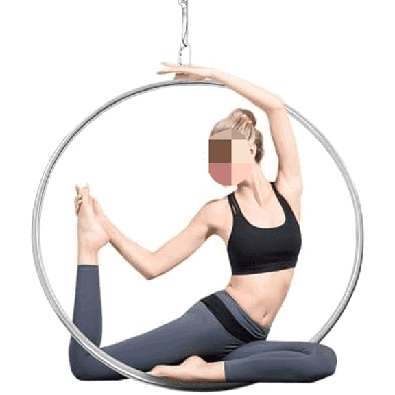 25mm Aerial Hoop, 253lbs Max Load Gymnastics Rings, 210 Stainless Steel Single-Point Swinging Rings with Nylon Rope & Fixing Plate for Fitness/Dance/Performance (Silver)$$Sport & Recreation Other