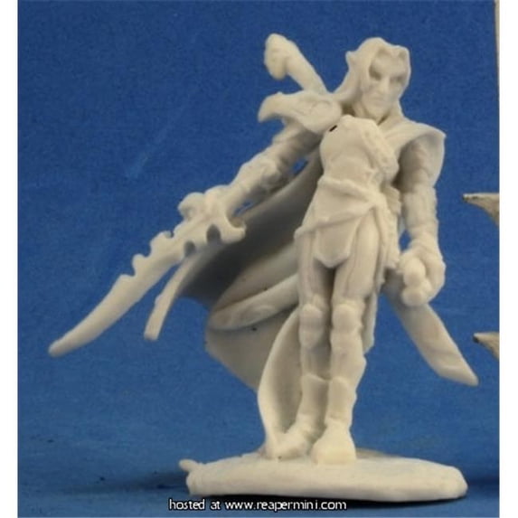 25mm Scale Ardynn, Elf Warrior Mage