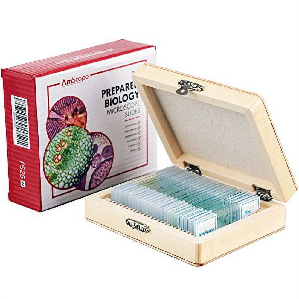 AMSCOPE 25pc Prepared Glass Microscope Slides in Wood Case with Plant, Fungus, Insect and Mammal Specimens
