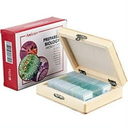 25pc Prepared Glass Microscope Slides in Wood Case with Plant, Fungus, Insect and Mammal Specimens