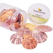 WEIYAN KJ 25pcs Scallop Sea Shells Seashells Charms for Craft Making Home Decoration Beach Party Fish Tank and Vase Fillers (Light) DIY