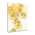 thumbnail image 1 of 25x25 Yellow Roses Anew I V.2 By Chris Paschke Print on CanvasFabric Multi-Color, 1 of 2