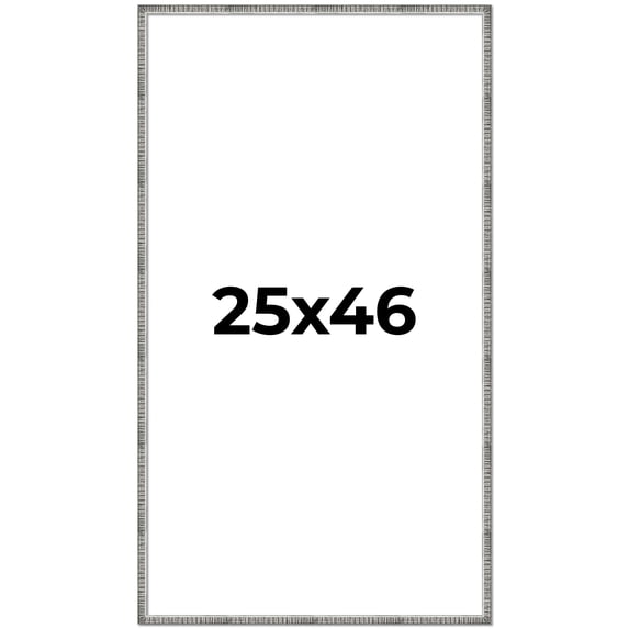 25x46 Frame Silver Picture Frame - Complete Modern Photo Frame Includes UV Acrylic Shatter Guard