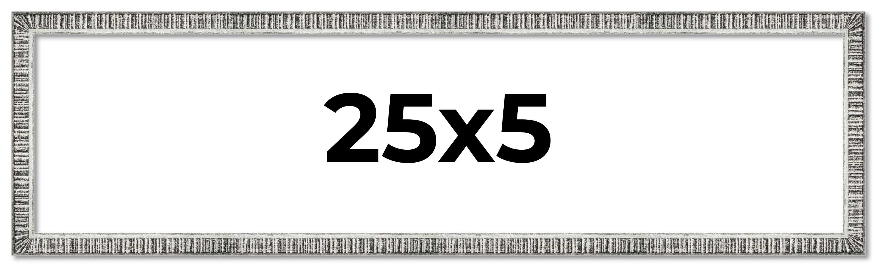 25x5 Frame Silver Picture Frame - Complete Modern Photo Frame Includes ...