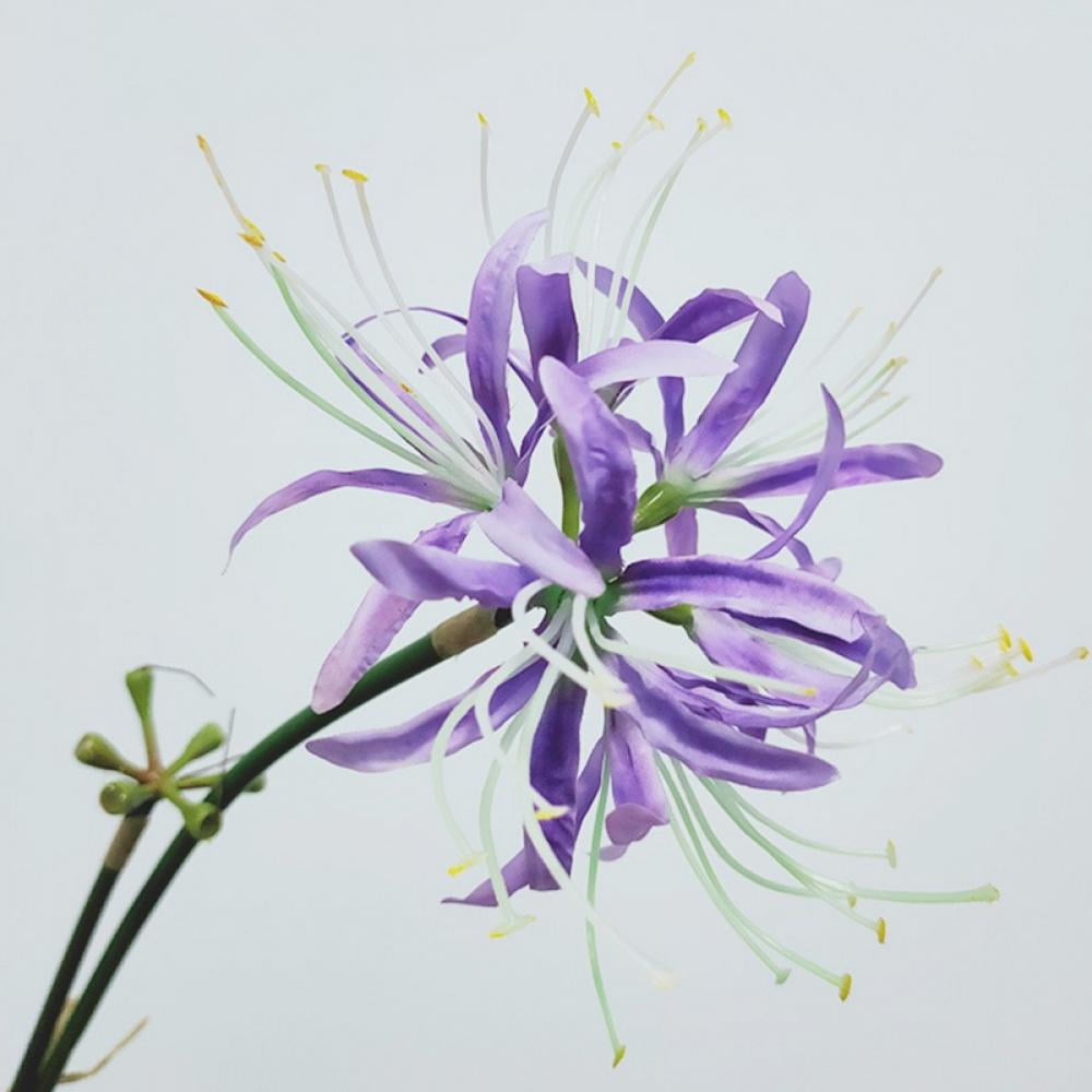 26.38 Inch Artificial Lycoris Radiata Spider Lily Flowers