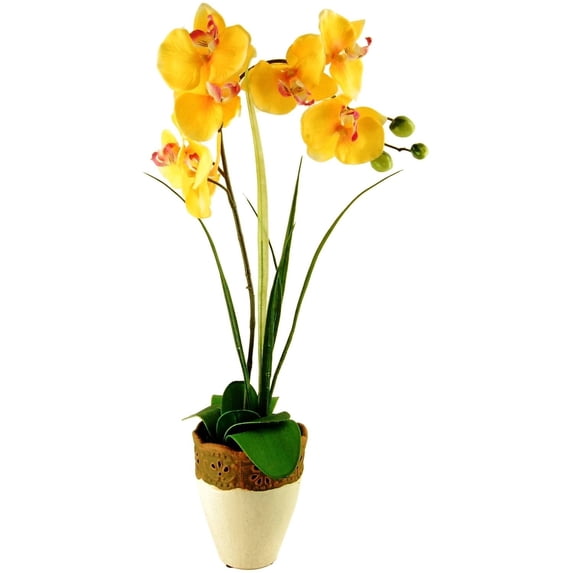 designs by lauren artificial phalaenopsis orchid & grass plant