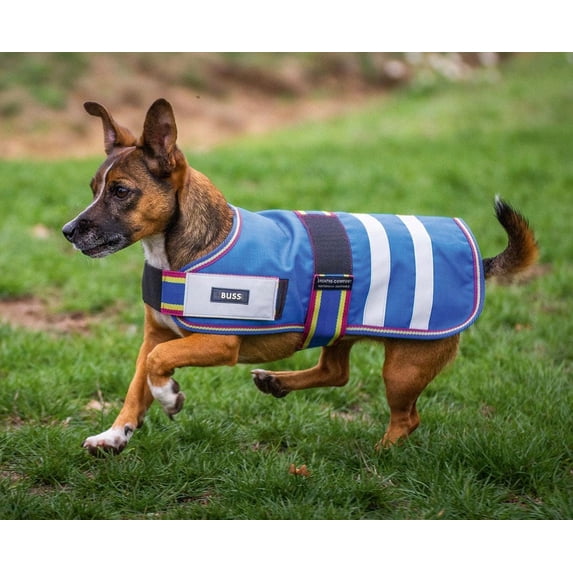 26 Inch Dog Winter Jacket, 600D Waterproof Turnout Blanket Coat, Medium Weight, Wind Resistant, Model 608EE01