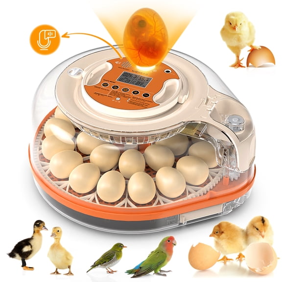 Smart 26-Egg Incubator with Voice Control Automatic Egg Turning Temperature & Humidity Display LED Candling Light