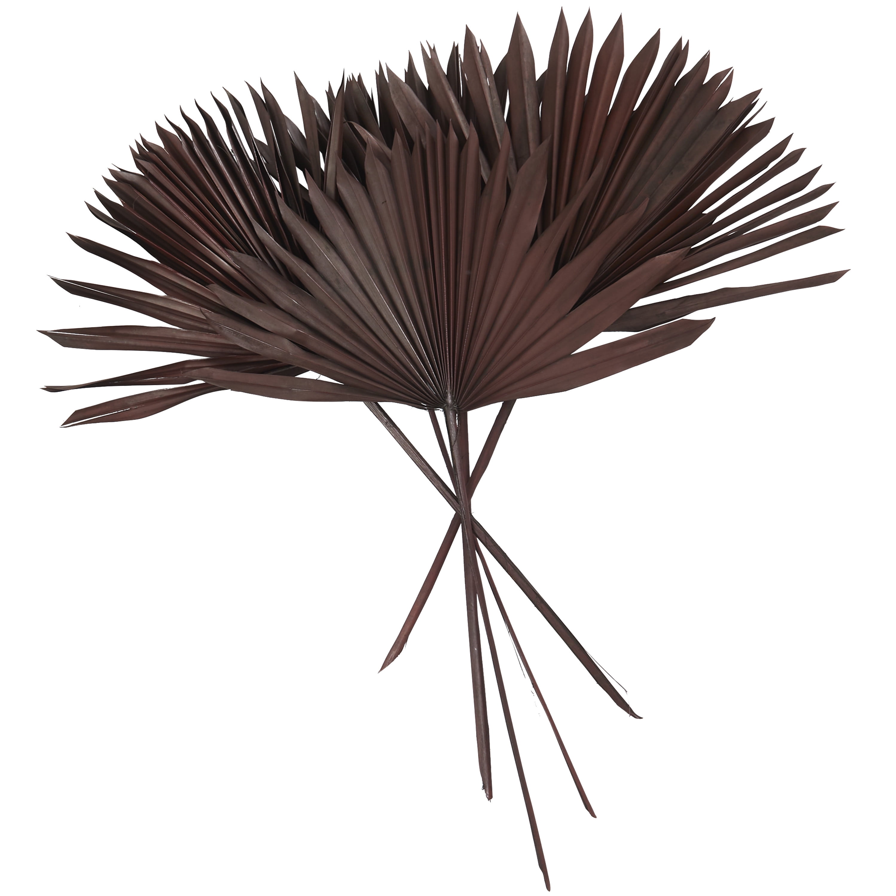 26" Handmade Large Sun Palm Spear Dried Plant Natural Foliage Palm Leaf Bouquet, by DecMode
