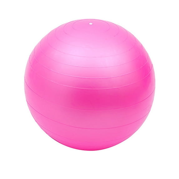 26 Inch Large Exercise Ball Yoga Balance Ball for Core Workout Physical Home Gym Fitness Equipment with Air Pump