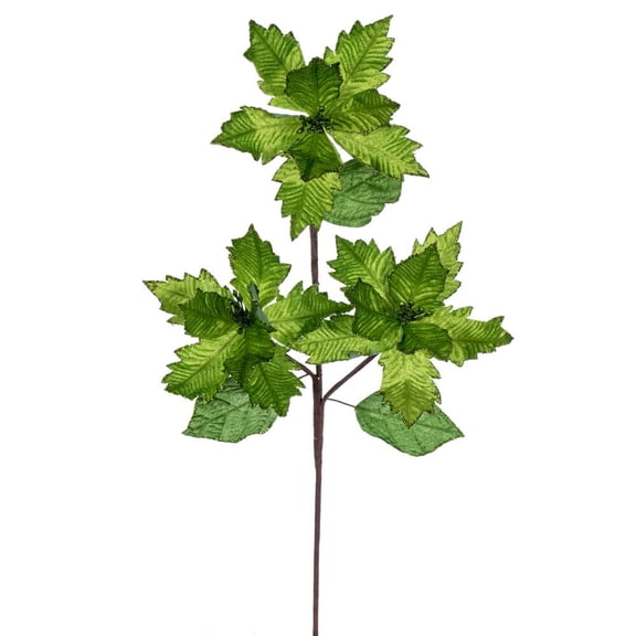 26" Lime Velvet Trio Razor 6" Flowr 3/Bg