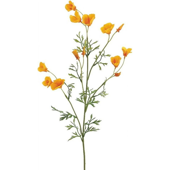26" Mini California Poppy Spray Yellow (Pack of 12)