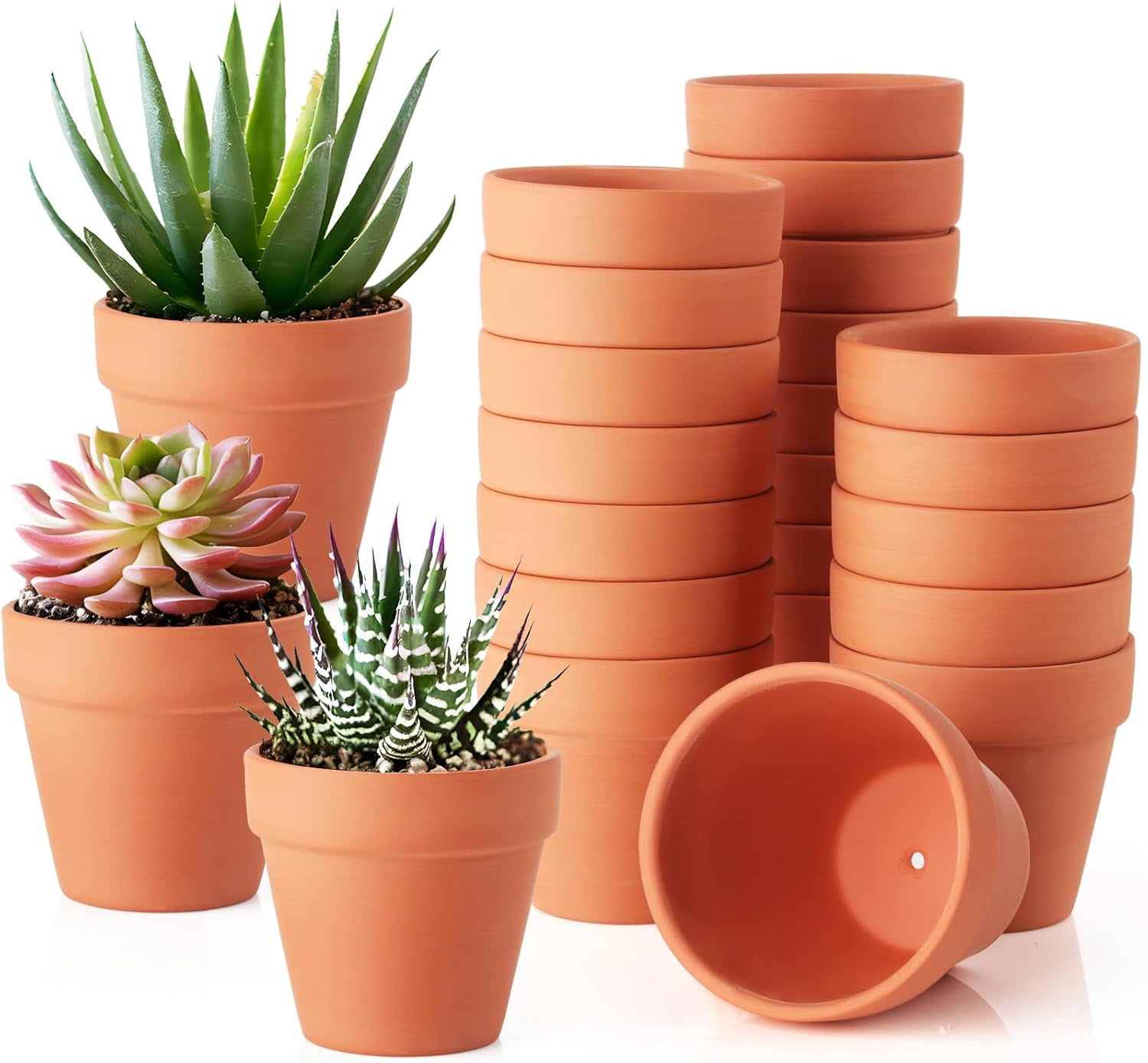 3-Inch Plant Pots for Indoor and Outdoor Gardening | Walmart