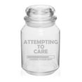 thumbnail image 1 of 26 oz Glass Candy Jar Apothecary Storage Jar Gift Attempting To Care Loading Please Wait, 1 of 1