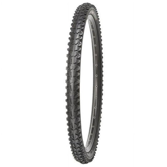 26 x 1.95 Mr. Ramapo MTB Wire Bead Tire, Black