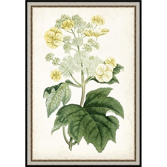 26 x 18 in. Floral Lace II Framed Fine Art Print