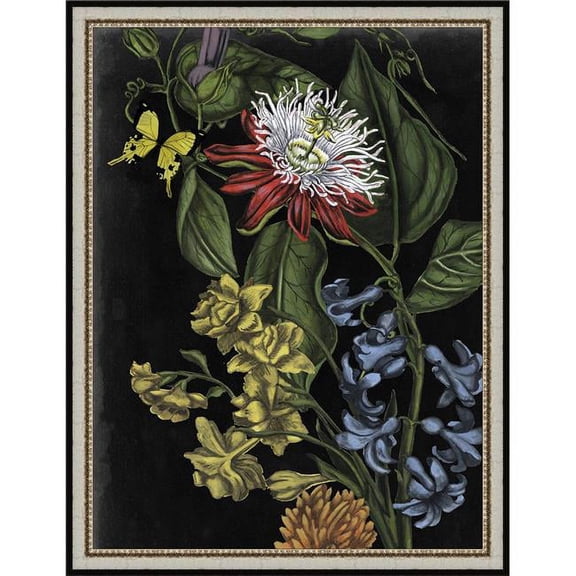 26 x 20 in. Dark Floral III, Framed Fine Art Print with Glass