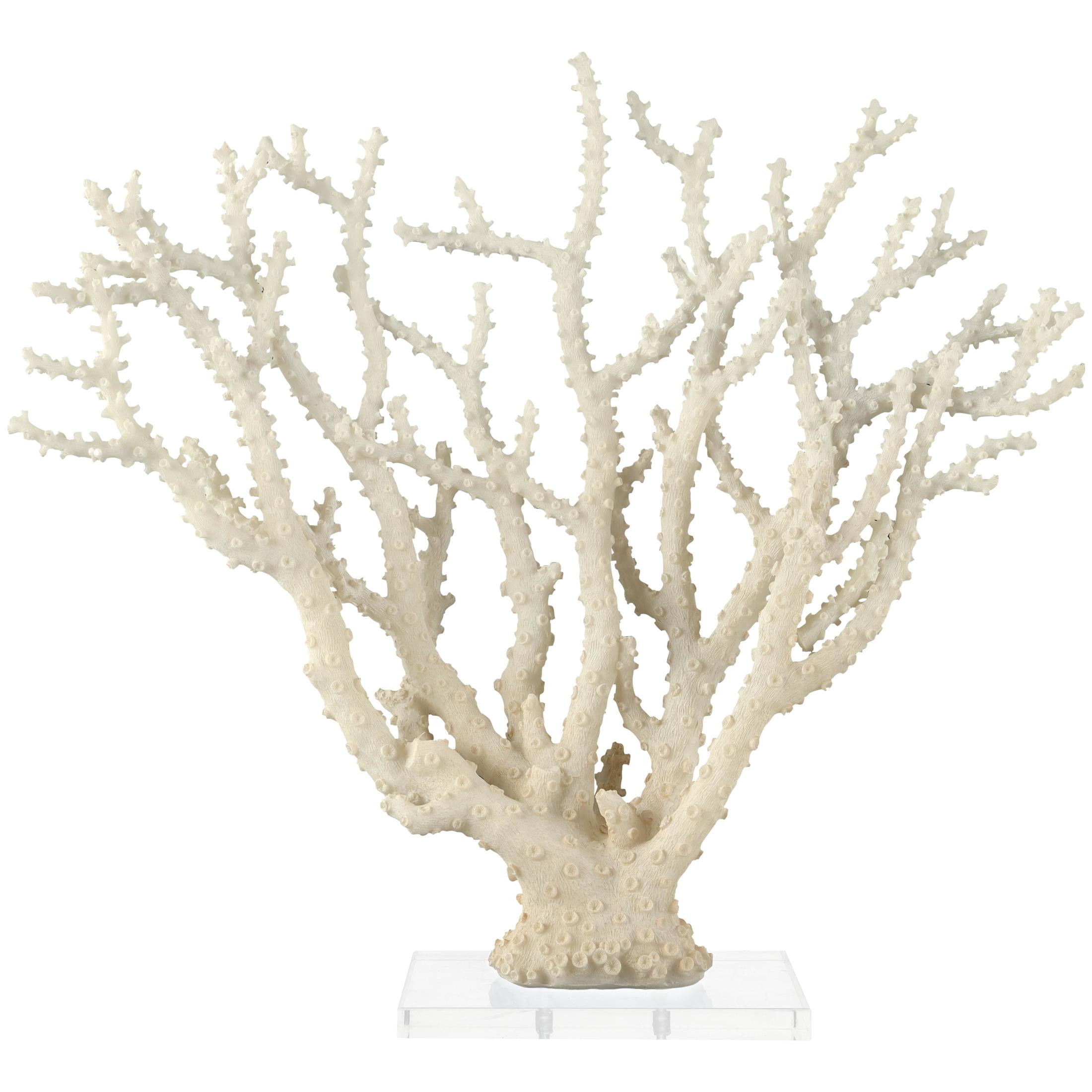 26" x 23" Cream Polystone Coral Sculpture with Clear Acrylic Base, by DecMode