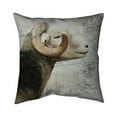 thumbnail image 1 of 26 x 26 in. Aries-Double Sided Print Indoor Pillow, 1 of 1