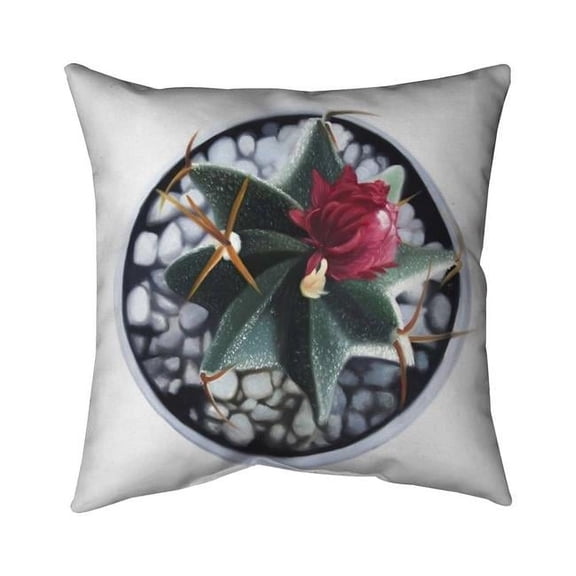 26 x 26 in. Cactus In Pot-Double Sided Print Indoor Pillow