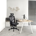 thumbnail image 1 of 26" x 27.5" x 46" Black Mesh High Tilt Chair, 1 of 2