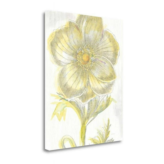 26"x32" Belle Fleur Yellow II Crop By Sue Schlabach on Canvas Fabric Multi-Color