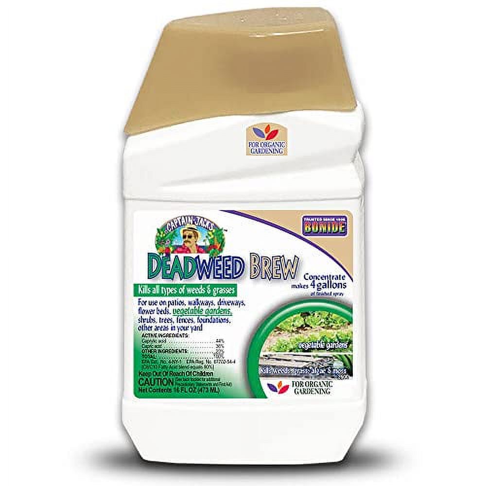 2600 Burnout II Weed & Grass Killer, Concentrate, 16oz. Quantity 1