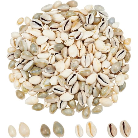 260Pcs Natural Cowrie Shell Beads No Hole, 6 Sizes Smooth Sea Shell Beach Loose Spacer Shell Beads Undyed Beach Seashells for Beach Ocean Summer Bracelet Anklet Jewelry Making Wall Home Decor