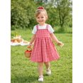 thumbnail image 1 of HILEELANG 2-7T Toddler/Little Girls Red Gingham 100% Cotton Dress Size 2T, 1 of 7