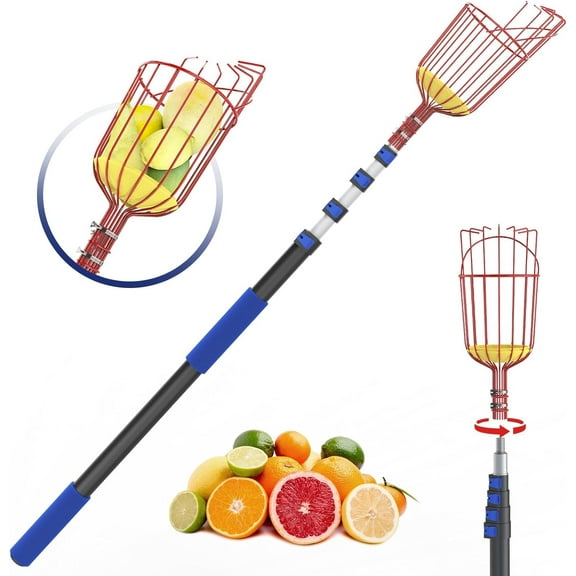 26FT Reach Fruit Picker, 5-20 Foot Sturdy Aluminum Telescoping Fruit Picker Extension Pole with Metal Twist-on Basket, Suit for Apple Pear Lemon Mango Guava Orange Avocados Tree Fruit Picking