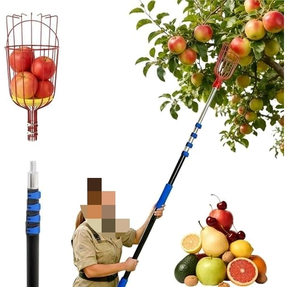 26FT Reach Fruit Picker Pole with Basket Telescoping, 5-20FT Extendable Aluminum Apple Picker for Picking Avocados, Figs, Mangoes, Citrus Fruits - Durable Harvesting Fruit Catcher for Trees