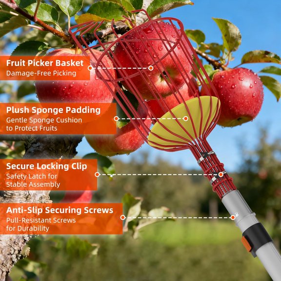 26FT Reach Fruit Picker Pole with Basket Telescoping,5-20FT Fruit Picker Pole with Basket, Apple Picker with Telescoping Long Handle, Fruit Grabber with Sturdy & Adjustable Aluminum Pole for Orange