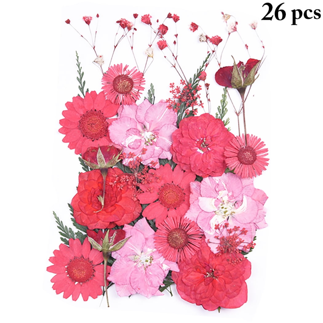 40PCS Dry Flower Kit Assorted Natural DIY Pressed Flowers Dried Craft  Flowers