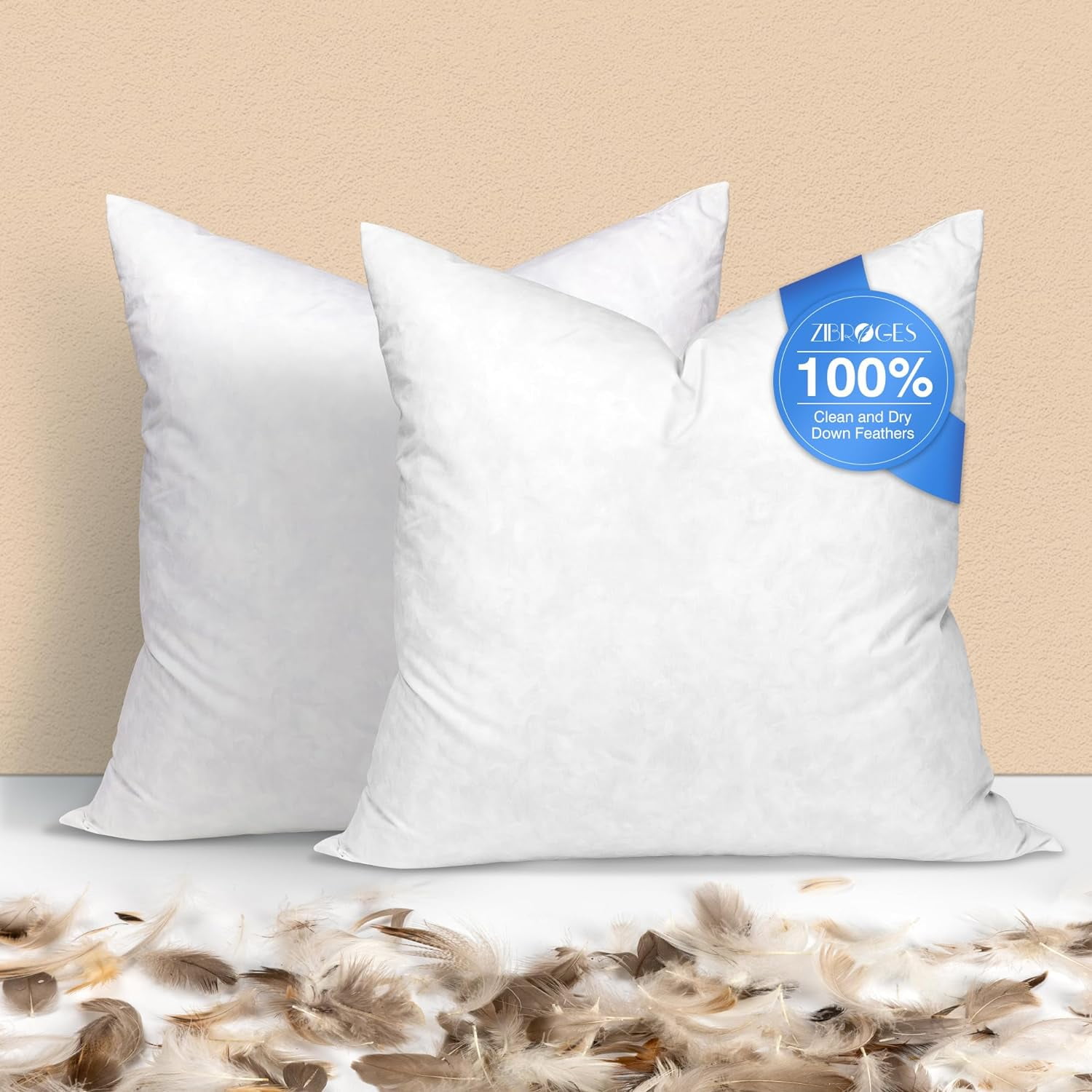 Euro pillow set of 2 2025