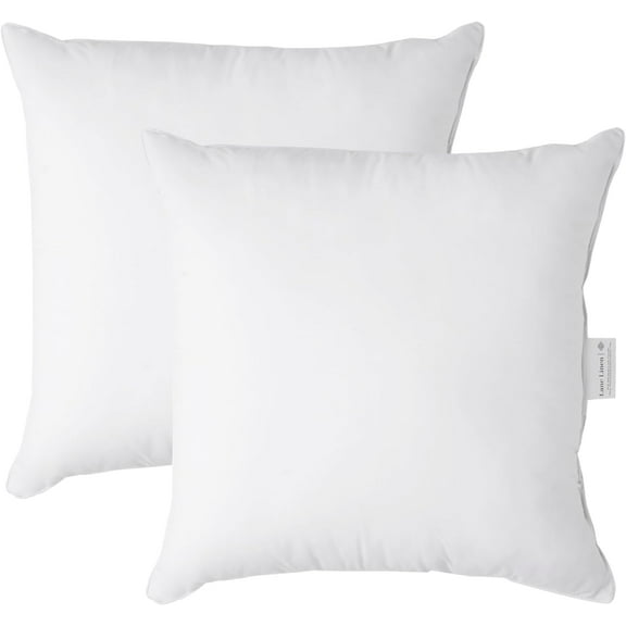26x26 White Throw Pillow Inserts – Pack of 2 White, Fluffy Decorative Insert for Throw Pillow Covers, Perfect for Couch, Bed, Outdoor Use, and Elegant Sofa or Living Room Decor