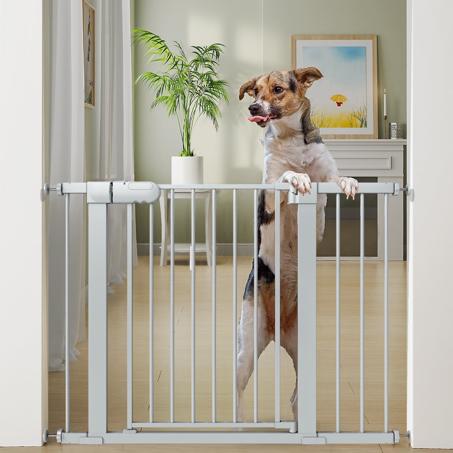 Safety Gate Sturdy Dog Gates Dog Fences Indoor MYPET North States