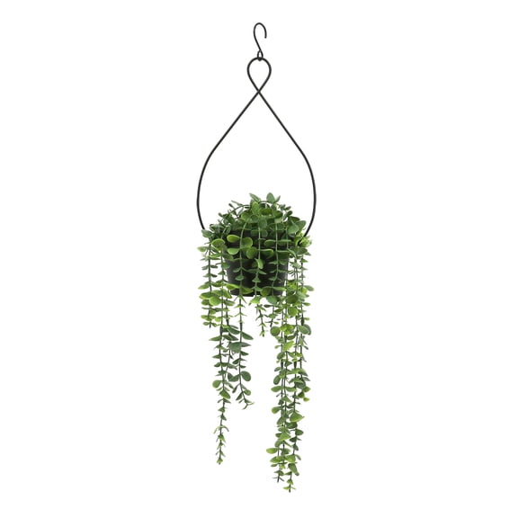 27" Dripping Eucalyptus Hanging Potted Plant by Ashland - Spring Floral for Crafting and Home Decor