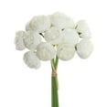 thumbnail image 1 of 27 Heads Ranunculus Artificial Flower, Faux Silk Mini Ranunculus Flowers for DIY Bouquet, Bulk Fake Wedding Filler Flowers for Centerpieces Arrangements Bridal Shower Decorations 11.5", 1 of 9