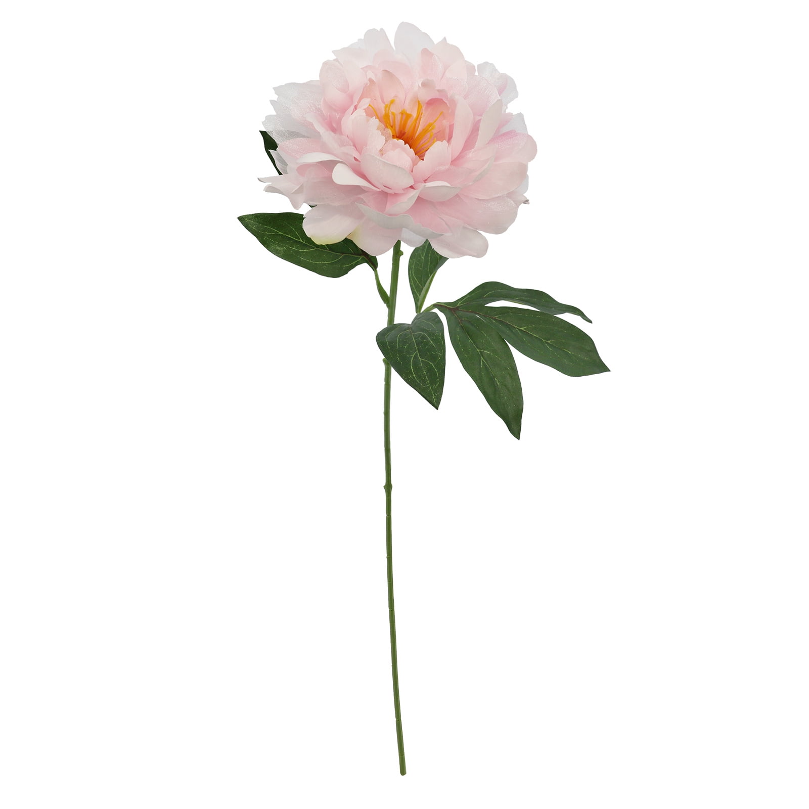 27" Light Pink Peony Stem with Green Leaves