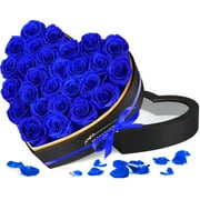 27 Preserved Roses in a Heart-Shaped Gift Box for Her – Eternal Flowers for Delivery, Forever Rose Gift for Mom, Wife, Anniversary, Birthday & Mother’s Day, Blue