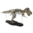 thumbnail image 1 of 27’’ Simulation Dinosaur Skeleton Figurine PVC Model Collector Tyrannosaurus Interactive, 1 of 8