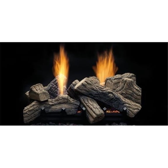 27 in. 39,000 BTU Natural Blaze See-Through Propane Gas Burner